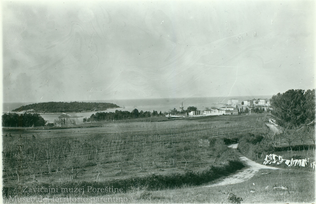 Image description